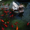 Отель Kong Inn, фото 6