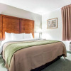 Отель Comfort Inn, фото 28