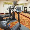 Отель Holiday Inn Express Hotel & Suites LIVE OAK, an IHG Hotel, фото 25