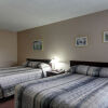 Отель Stanford Inn & Suites, фото 4