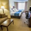 Отель Comfort Suites University Area Notre Dame-South Bend, фото 5