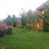 Отель Pension Terra, фото 12