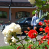 Отель Ancora Sport Hotel, фото 10