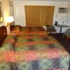 Отель Economy Inn, фото 3