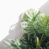 Отель SSP - Upper West Side, фото 19