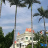 Отель Aviation Touristry Villa Hotel, фото 5