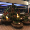 Отель Samoa Beach Resort, фото 2