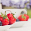 Отель Windy Harbour Farm Bed & Breakfast, фото 8
