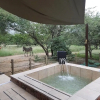 Отель Marloth Park Sanbonani, фото 13