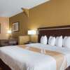 Отель Quality Inn & Suites, фото 5