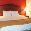 Отель Best Western Griffin, фото 4