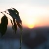 Отель Los Balcones, фото 24