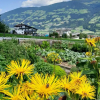 Отель Schorpenhof, фото 13