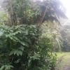 Отель Lava Pond Lodge, фото 11