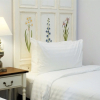 Отель Marquise Boutique Hotel, фото 5