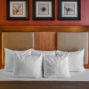 Отель Quality Inn Harrisburg Downtown Riverfront, фото 6