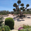 Отель Masseria La Foggia, фото 19