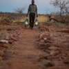 Отель Tuli Game Reserve - Pride Rock Camp, фото 5