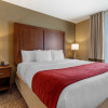 Отель Comfort Inn & Suites Russellville I-40, фото 47