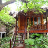 Отель Halong Bay Deluxe Cruise Bungalow on Island, фото 16