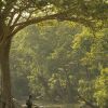 Отель Banjaar Tola, Kanha National Park, фото 37