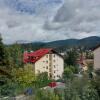 Отель Hellen Studio Predeal, фото 1