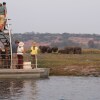 Отель Tlouwana Camp в Касане
