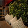 Отель Pleno Palermo Soho, фото 17