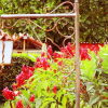 Отель Finca Hotel El Angel, фото 10