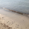 Отель Budoni Beach, фото 9