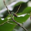 Отель Sloth House, фото 26