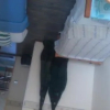 Отель Viesu Nams Jūras sapņi, фото 13