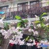 Отель Wuxi Zhanmei Boutique Hotel (Coast City), фото 1