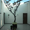 Отель Taian Tangyue Hot Sprigs Resort, фото 9
