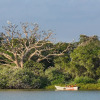 Отель Caiman Eco Lodge, фото 29