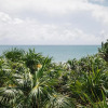Отель Nest Tulum, фото 17