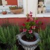Отель Depa - Garden and Barbecue - A2, фото 2