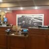 Отель Hampton Inn Jonesville Elkin в Джонсвилле