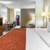 Отель Comfort Suites, фото 22