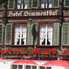 Отель Simmental, фото 1