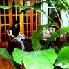 Отель Sura B&B, фото 19