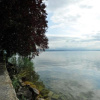 Отель Jugendherberge Richterswil, фото 20