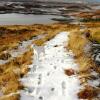 Отель The Fisherman's Snug North Uist, фото 7