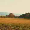 Отель Agriturismo Il Puntoncino, фото 3