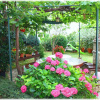 Отель Villa Kascuni, фото 9