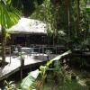 Отель Daintree Wilderness Lodge, фото 7