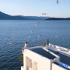 Отель Tinghua Island Garden Resort, фото 9