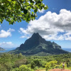 Отель Moorea Golf Lodge, фото 28