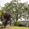Отель Bluebush Estate, фото 20