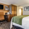 Отель Comfort Inn Raleigh Midtown, фото 5
